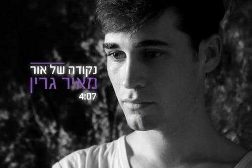 מאיר גרין - נקודה של אור