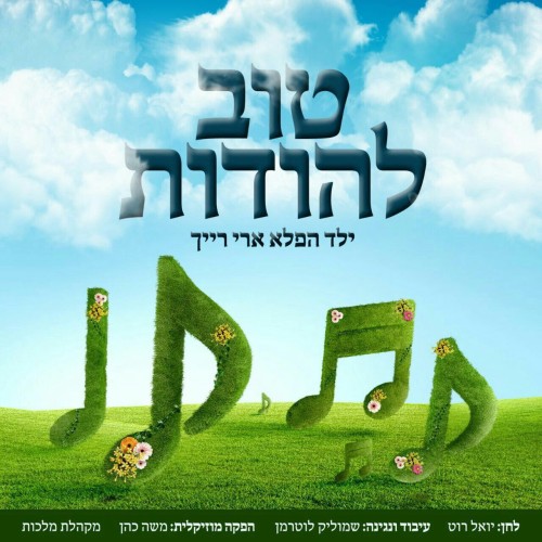 ארי רייך - טוב להודות