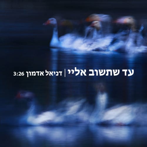 דניאל אדמון - עד שתשוב אליי