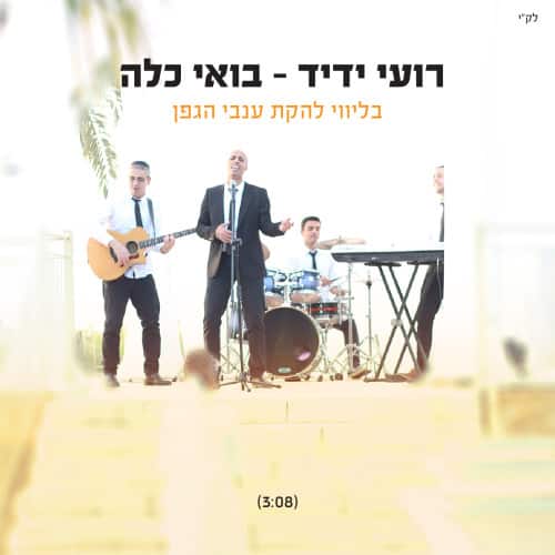 רועי ידיד - בואי כלה