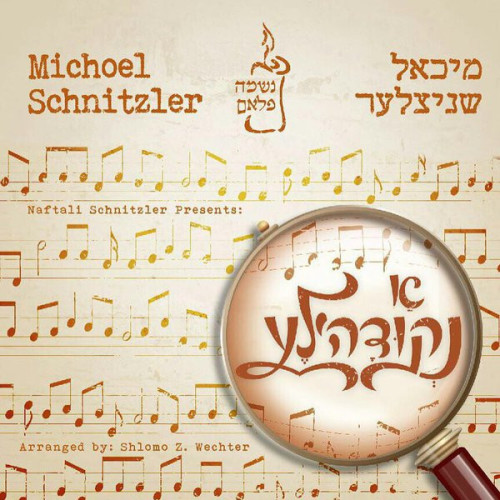 מיכאל שניצלער - א נקודהל'ע