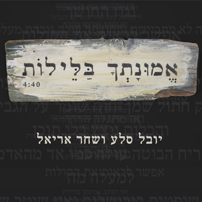 יובל סלע - אמונתך בלילות