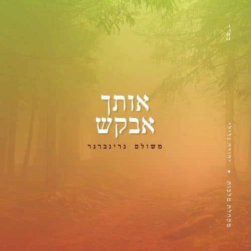 משולם גרינברגר - אותך אבקש