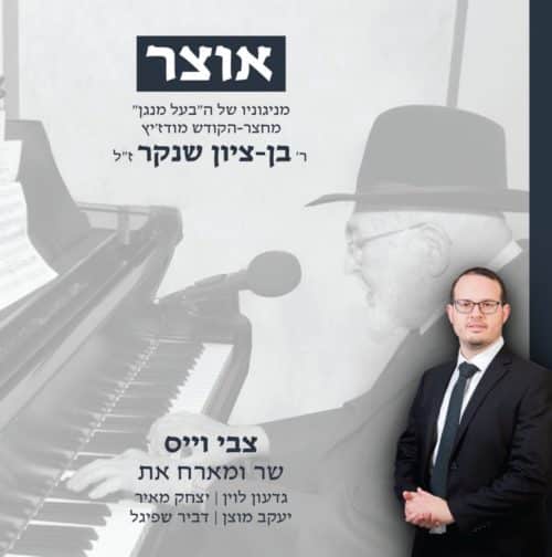 צבי וייס - אוצר